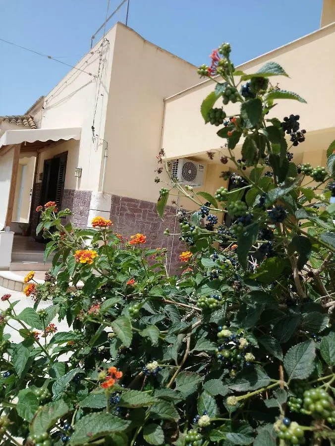 Apartment Of Kite And Wine Birgi Vecchi